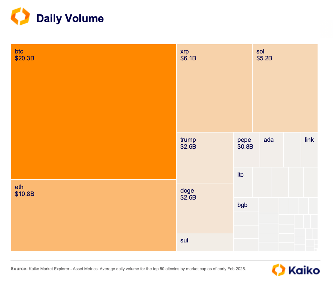Screenshot 2025-02-17 at 4.16.21 PM