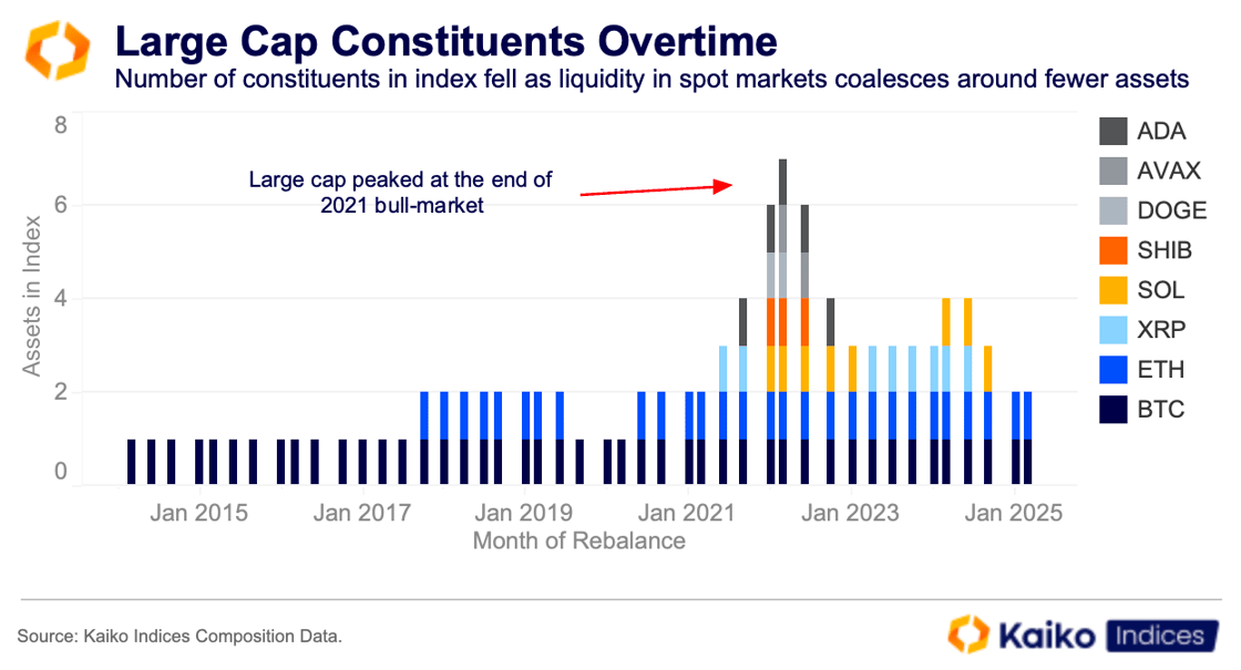 Large Cap Constituents Overtime